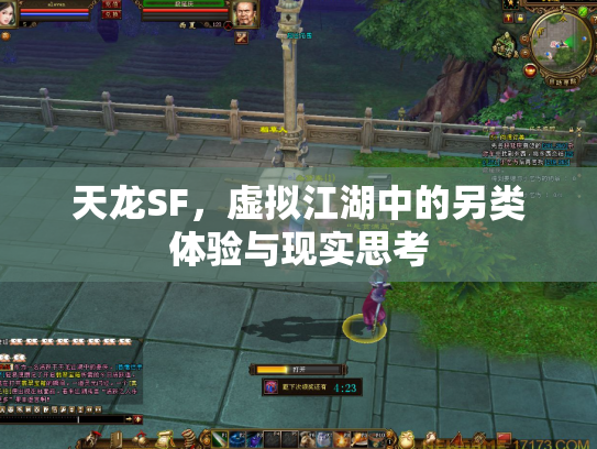 天龙SF，虚拟江湖中的另类体验与现实思考