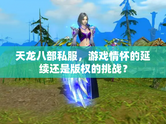 天龙八部私服，游戏情怀的延续还是版权的挑战？