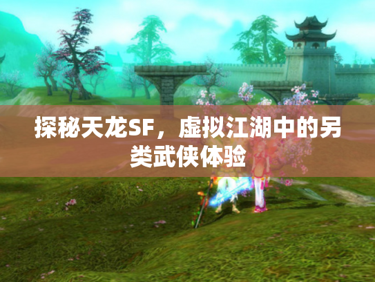 探秘天龙SF，虚拟江湖中的另类武侠体验
