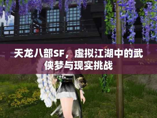 天龙八部SF，虚拟江湖中的武侠梦与现实挑战