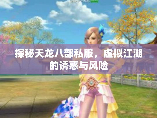探秘天龙八部私服，虚拟江湖的诱惑与风险