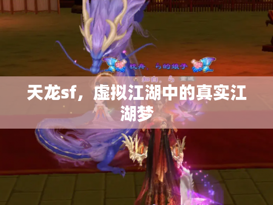 天龙sf，虚拟江湖中的真实江湖梦