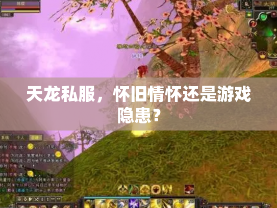 天龙私服，怀旧情怀还是游戏隐患？
