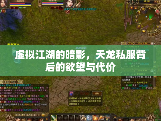 虚拟江湖的暗影，天龙私服背后的欲望与代价