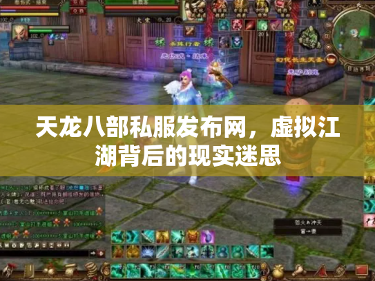 天龙八部私服发布网，虚拟江湖背后的现实迷思