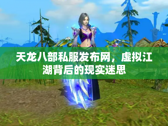 天龙八部私服发布网，虚拟江湖背后的现实迷思