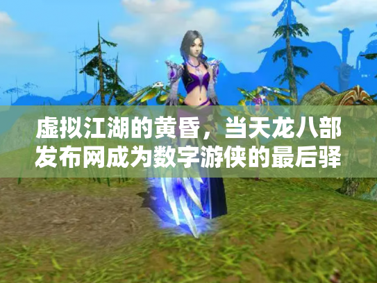 虚拟江湖的黄昏，当天龙八部发布网成为数字游侠的最后驿站