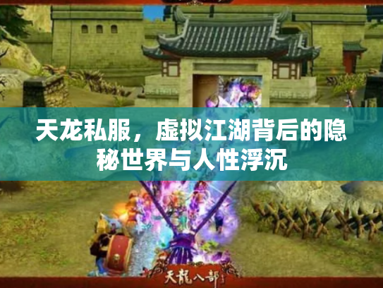 天龙私服，虚拟江湖背后的隐秘世界与人性浮沉