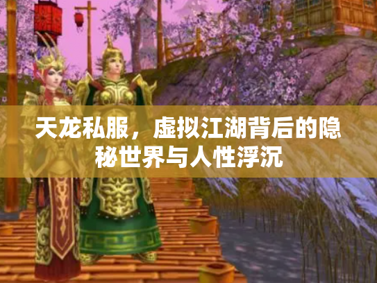 天龙私服，虚拟江湖背后的隐秘世界与人性浮沉