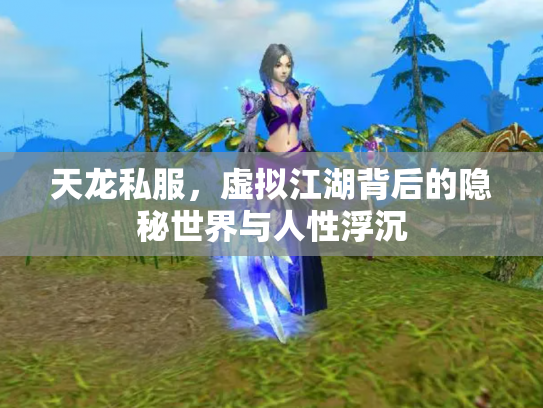 天龙私服，虚拟江湖背后的隐秘世界与人性浮沉