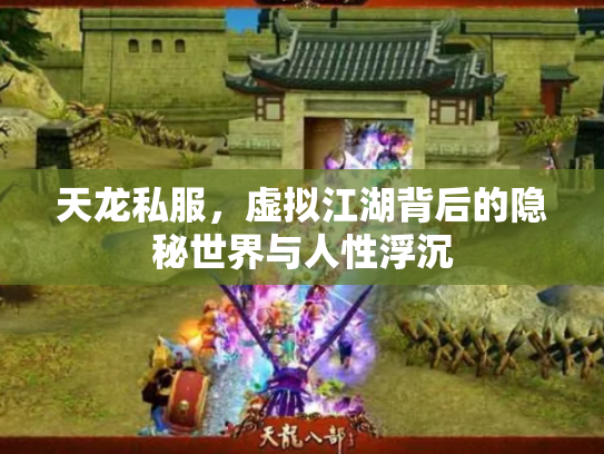 天龙私服，虚拟江湖背后的隐秘世界与人性浮沉
