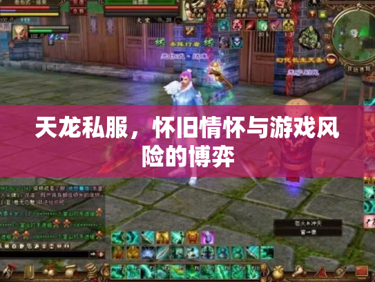 天龙私服，怀旧情怀与游戏风险的博弈