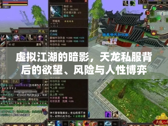 虚拟江湖的暗影，天龙私服背后的欲望、风险与人性博弈
