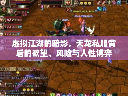 虚拟江湖的暗影，天龙私服背后的欲望、风险与人性博弈