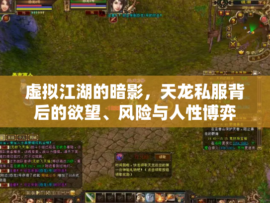 虚拟江湖的暗影，天龙私服背后的欲望、风险与人性博弈