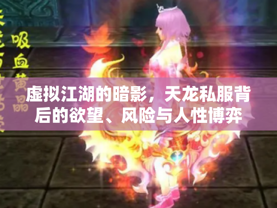 虚拟江湖的暗影，天龙私服背后的欲望、风险与人性博弈