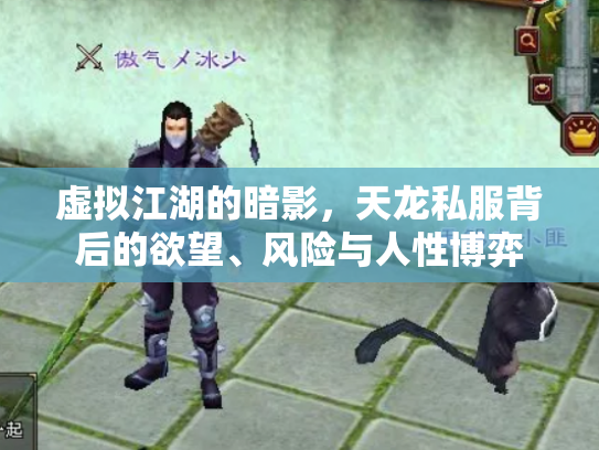 虚拟江湖的暗影，天龙私服背后的欲望、风险与人性博弈