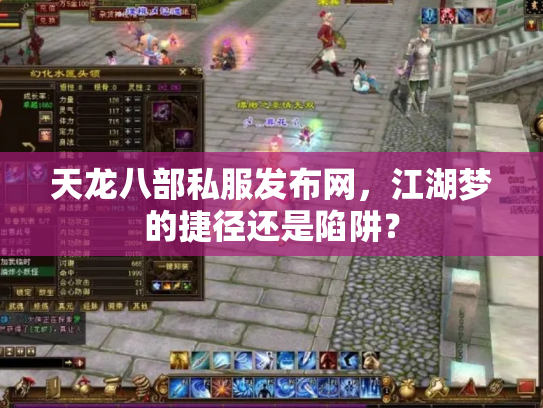 天龙八部私服发布网，江湖梦的捷径还是陷阱？