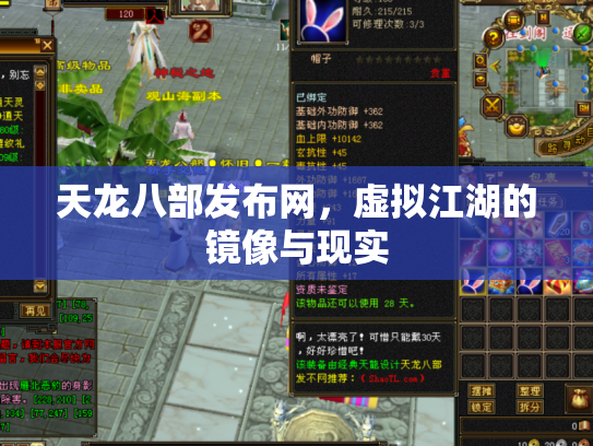 天龙八部发布网，虚拟江湖的镜像与现实