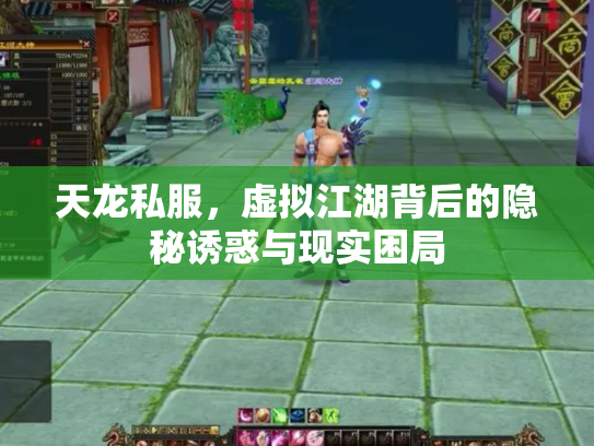 天龙私服，虚拟江湖背后的隐秘诱惑与现实困局
