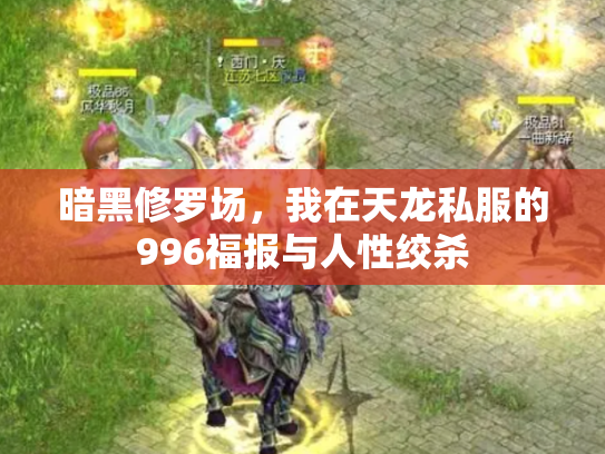 暗黑修罗场，我在天龙私服的996福报与人性绞杀