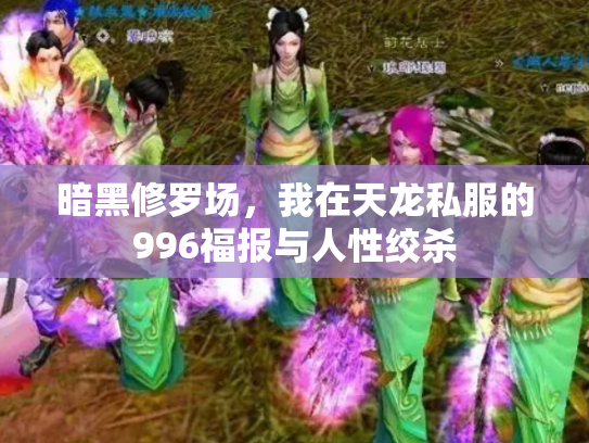 暗黑修罗场，我在天龙私服的996福报与人性绞杀