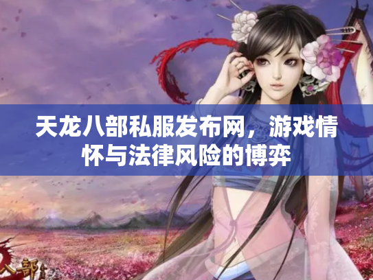 天龙八部私服发布网，游戏情怀与法律风险的博弈