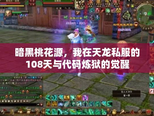 暗黑桃花源，我在天龙私服的108天与代码炼狱的觉醒