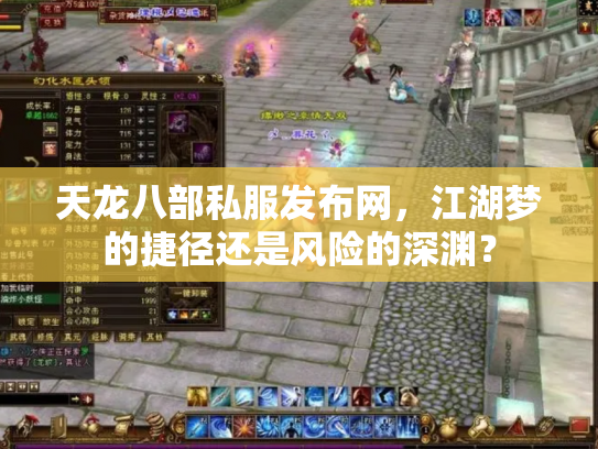 天龙八部私服发布网，江湖梦的捷径还是风险的深渊？