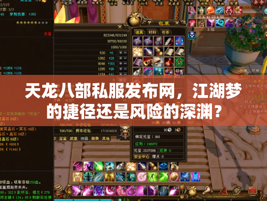 天龙八部私服发布网，江湖梦的捷径还是风险的深渊？