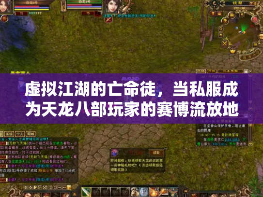 虚拟江湖的亡命徒，当私服成为天龙八部玩家的赛博流放地