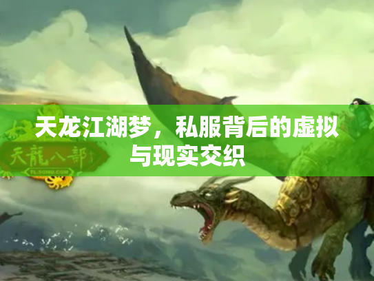 天龙江湖梦，私服背后的虚拟与现实交织