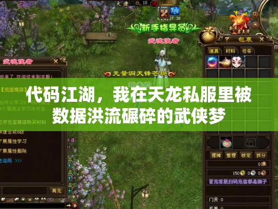 代码江湖，我在天龙私服里被数据洪流碾碎的武侠梦