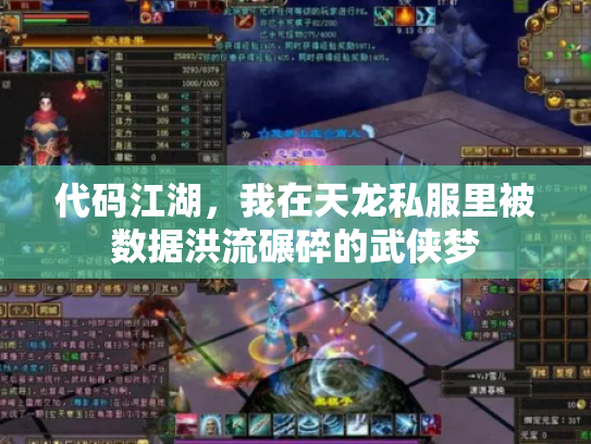 代码江湖，我在天龙私服里被数据洪流碾碎的武侠梦