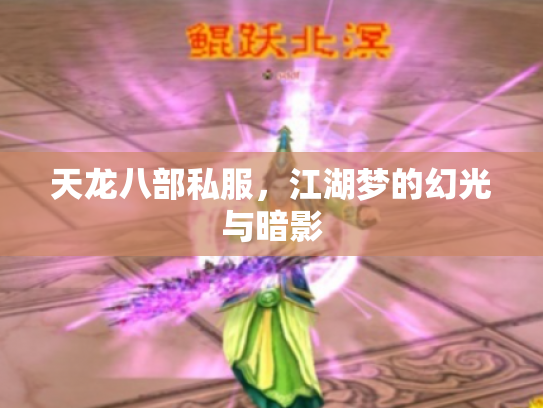 天龙八部私服，江湖梦的幻光与暗影