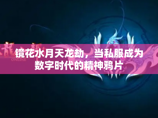 镜花水月天龙劫，当私服成为数字时代的精神鸦片