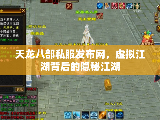天龙八部私服发布网，虚拟江湖背后的隐秘江湖