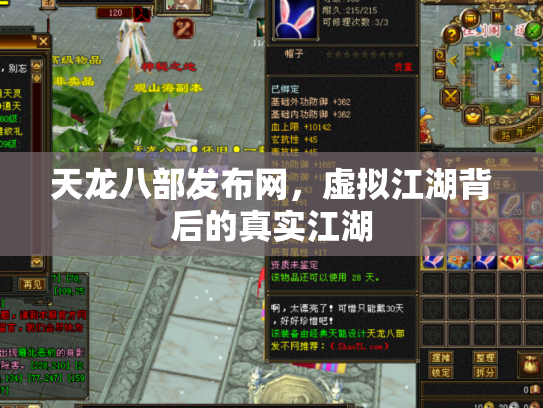 天龙八部发布网，虚拟江湖背后的真实江湖