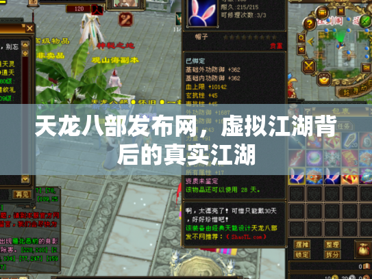 天龙八部发布网，虚拟江湖背后的真实江湖