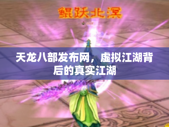 天龙八部发布网，虚拟江湖背后的真实江湖