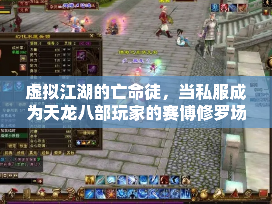 虚拟江湖的亡命徒，当私服成为天龙八部玩家的赛博修罗场