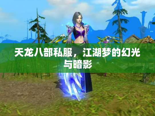 天龙八部私服，江湖梦的幻光与暗影
