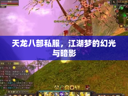 天龙八部私服，江湖梦的幻光与暗影