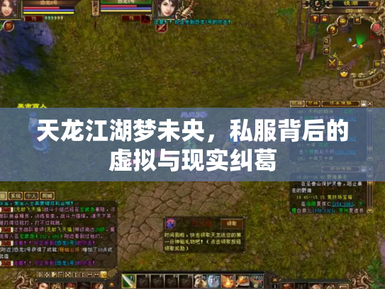 天龙江湖梦未央，私服背后的虚拟与现实纠葛