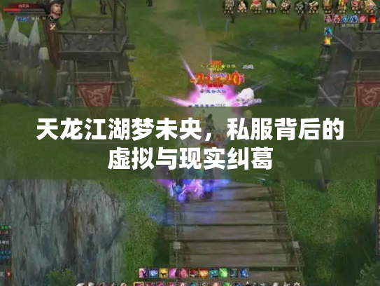 天龙江湖梦未央，私服背后的虚拟与现实纠葛