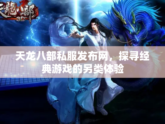 天龙八部私服发布网，探寻经典游戏的另类体验