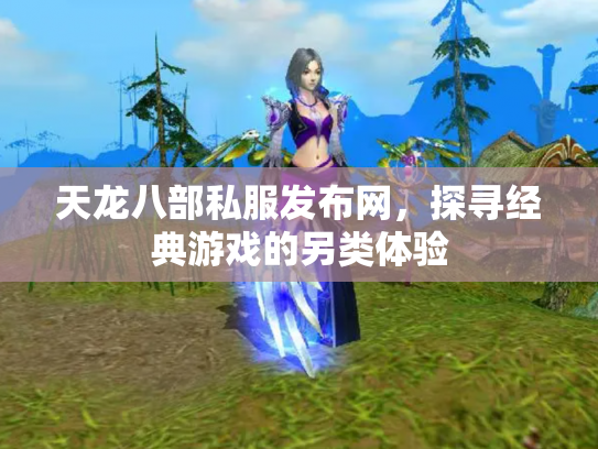 天龙八部私服发布网，探寻经典游戏的另类体验