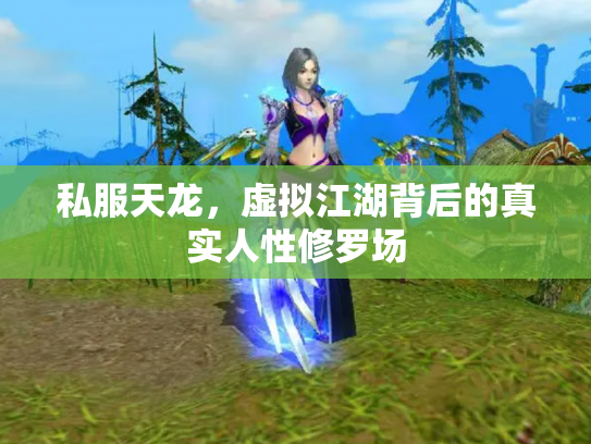 私服天龙，虚拟江湖背后的真实人性修罗场