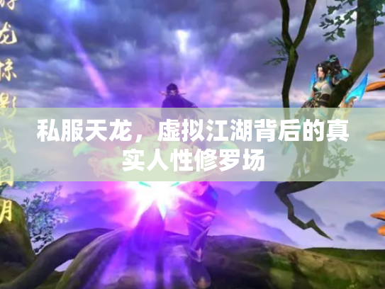 私服天龙，虚拟江湖背后的真实人性修罗场