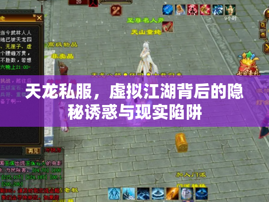 天龙私服，虚拟江湖背后的隐秘诱惑与现实陷阱